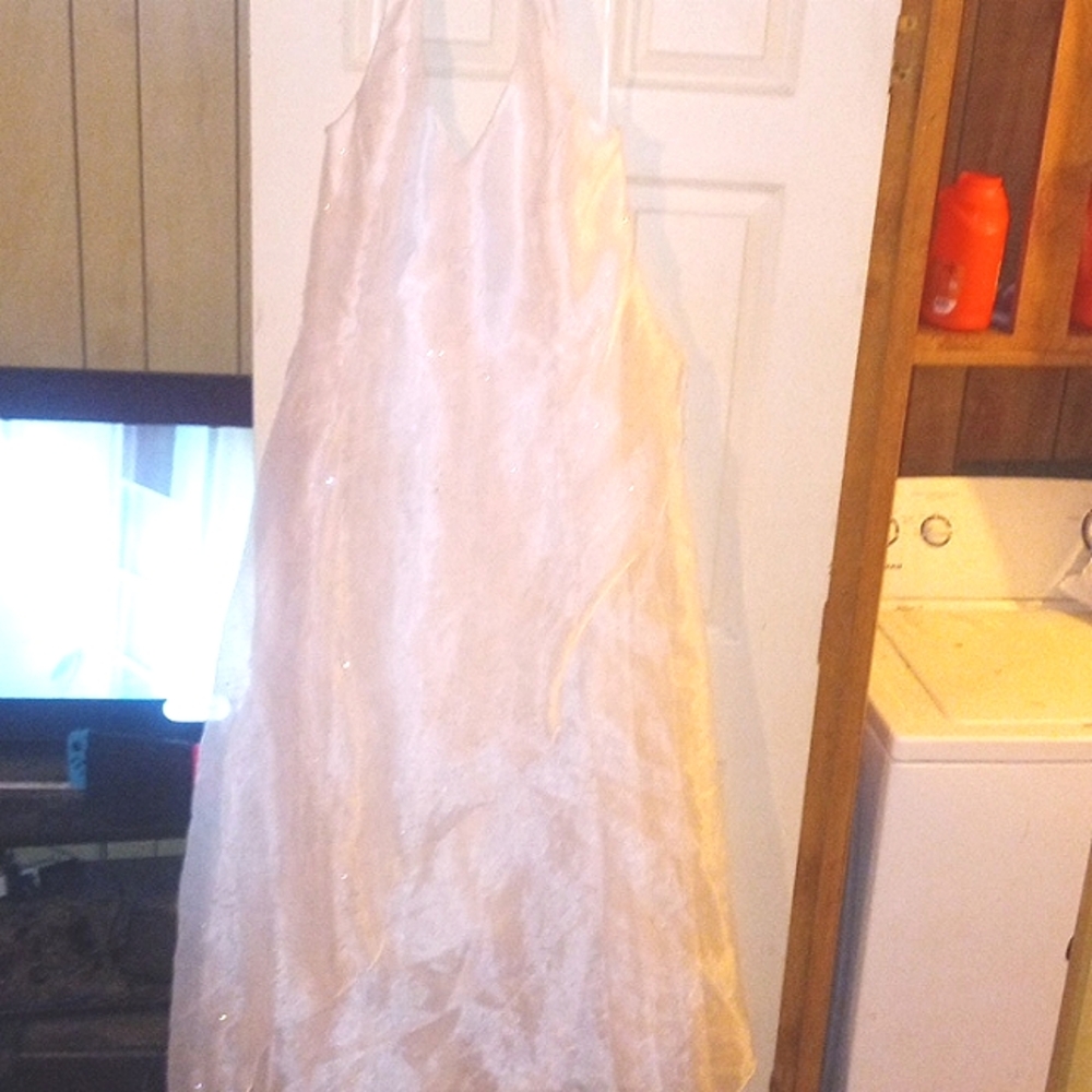 Betsy and Adam size 20w white wedding dress.